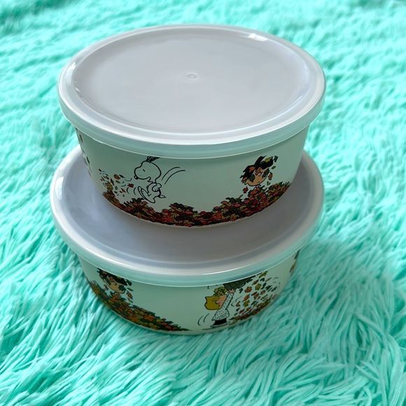 Peanuts snoopy seasonal containers storage perfect for fall thanksgiving… - Picture 3 of 8
